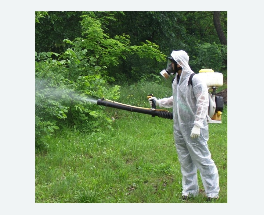 обработка территории от клещей Царицыно метро Москвы