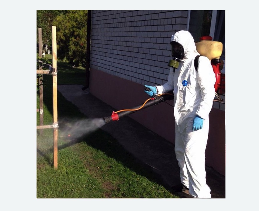 травля клещей на участке Царицыно метро Москвы