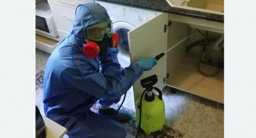 Уничтожение муравьев в квартире. Царицыно