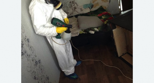 Обработка квартир от насекомых Царицыно метро Москвы