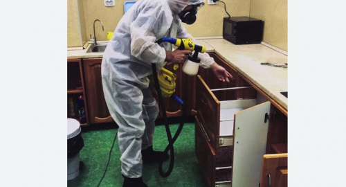 Дезинсекция квартиры. Царицыно
