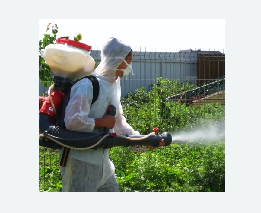 Акарицидная обработка территории Царицыно метро Москвы