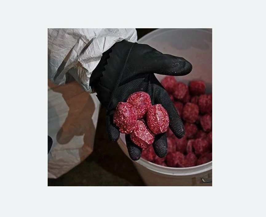 Обработка от крыс Царицыно метро Москвы