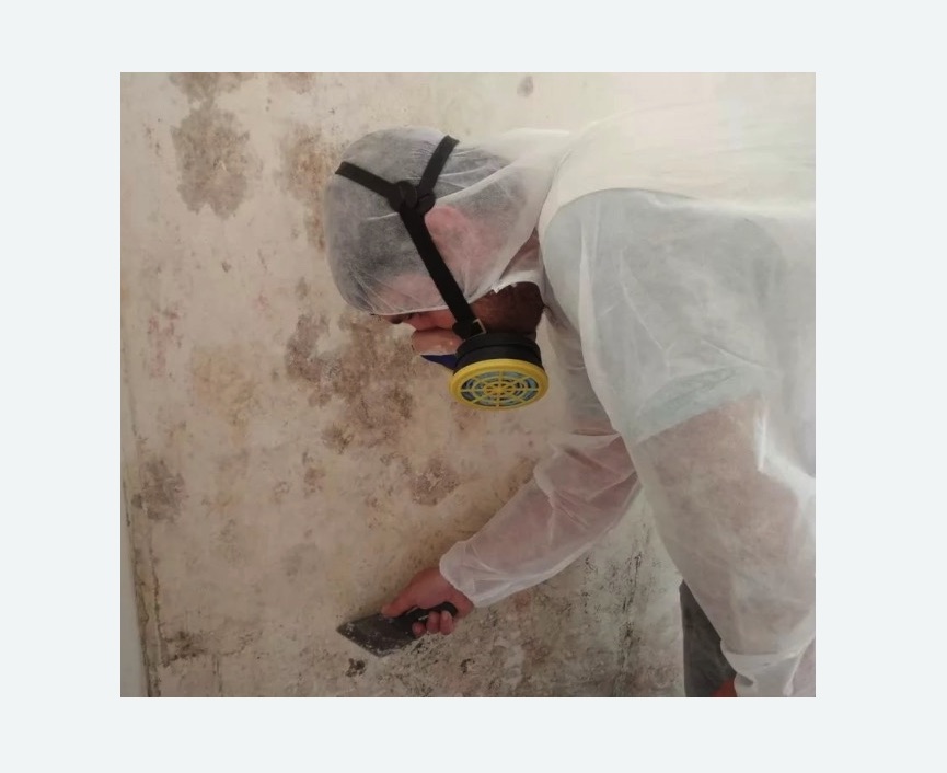 Обработка стен от плесени Царицыно метро Москвы