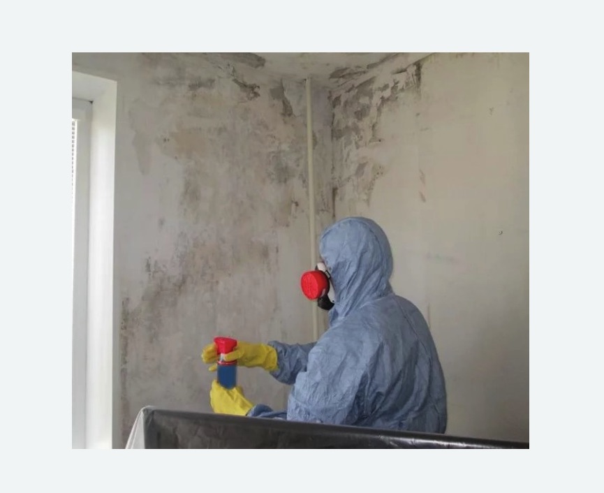 Удаление плесени в квартире Царицыно метро Москвы