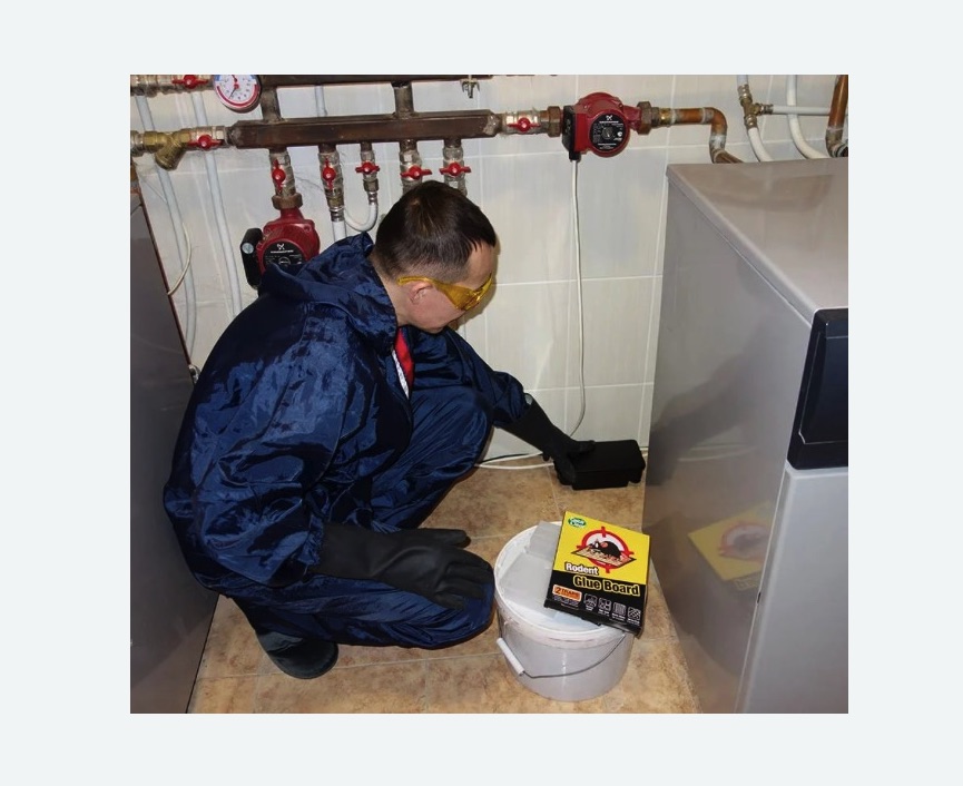 Уничтожение крыс Царицыно метро Москвы