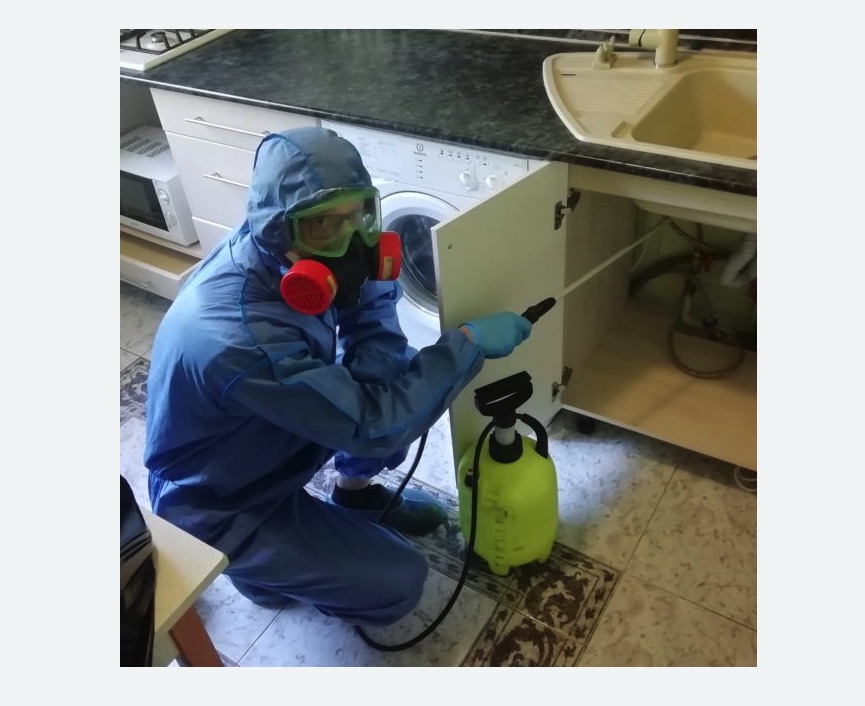 обработка от муравьев в квартире Царицыно метро Москвы