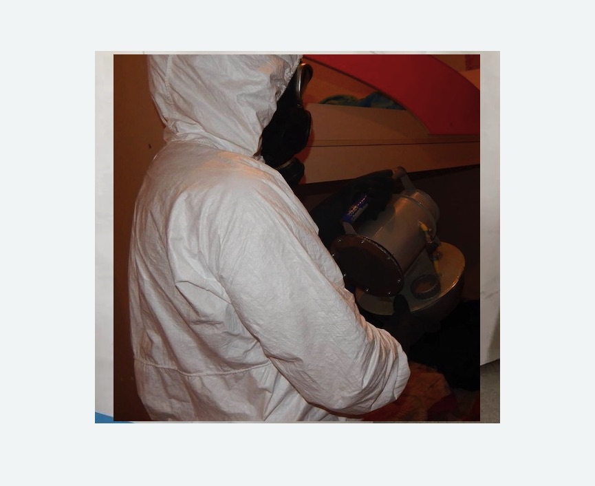 Дезинфекция от муравьев Царицыно метро Москвы