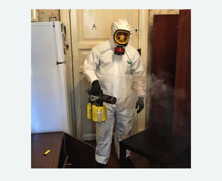 уничтожение муравьев в квартире Царицыно метро Москвы